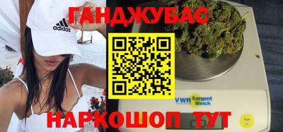 сатива Малгобек