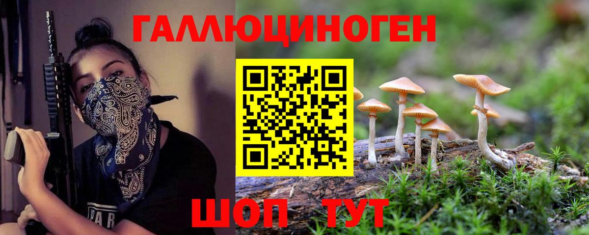 Галлюциногенные грибы Psilocybe  Вход с VPN  Узловая 