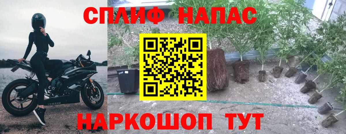 Бошки марихуана VHQ Узловая